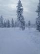 Finnland mal gucken.jpg