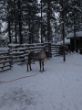 Finnland 2012.JPG
